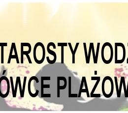 Grand Prix Starosty Włodzisławskiego...